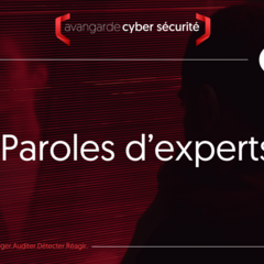 Article n°7
